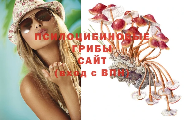 каннабис Баксан